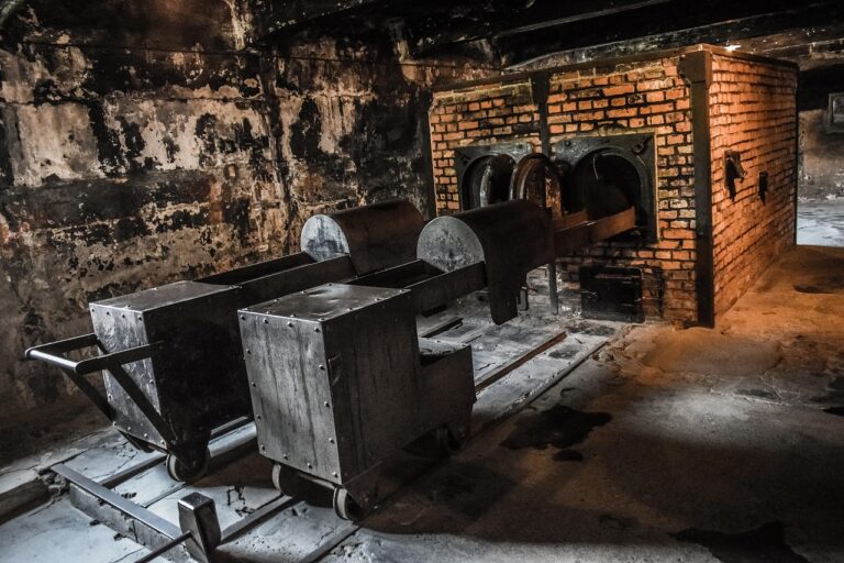 Cremation Services Near Me: Trusted Local Providers and Practical Guidance