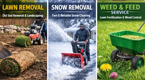 Weed and Feed: Effective Lawn Care Tips for Healthy, Low-Maintenance Turf